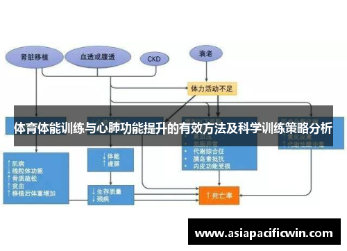 体育体能训练与心肺功能提升的有效方法及科学训练策略分析